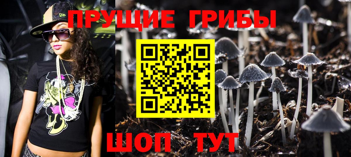 Галлюциногенные грибы Psilocybine cubensis  Вход с VPN  Галлюциногенные грибы мицелий  Кыштым 